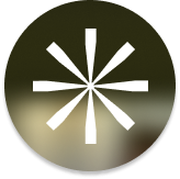 About GlobeVox